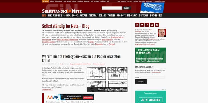 Startseite der Website Selbstständig-im-Netz.de